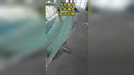 瓷砖水池漏水怎么处理(瓷砖水池漏水用什么胶水补漏) 瓷砖水池漏水怎么处理(瓷砖水池漏水用什么胶水补漏)